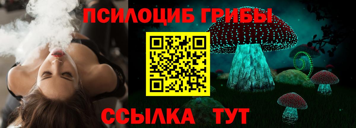 Псилоцибиновые грибы Magic Shrooms Сердобск